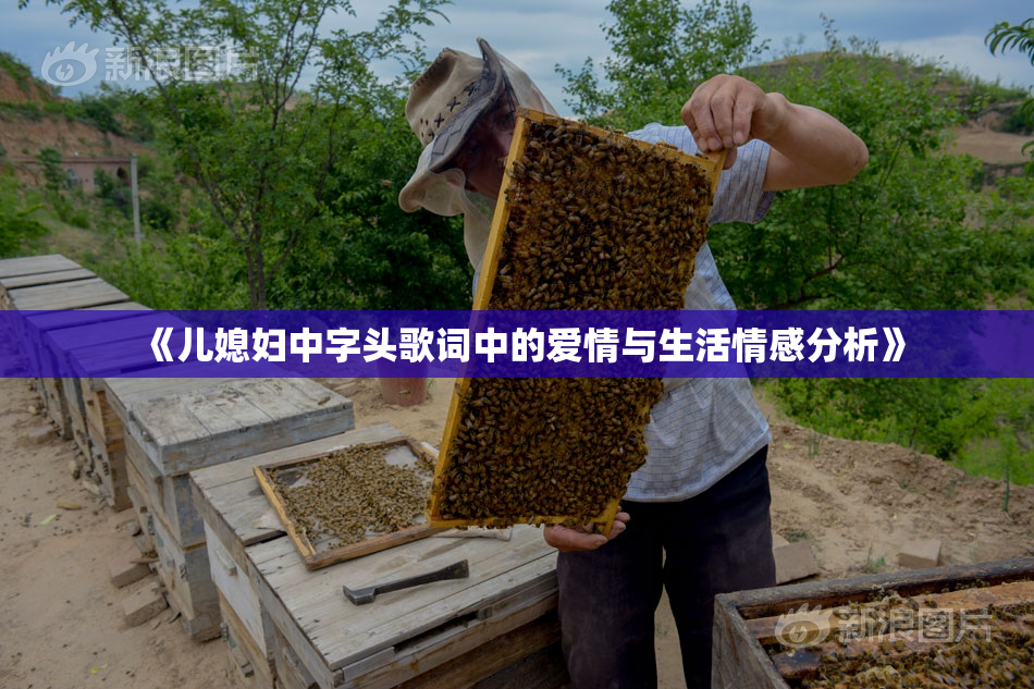 《儿媳妇中字头歌词中的爱情与生活情感分析》