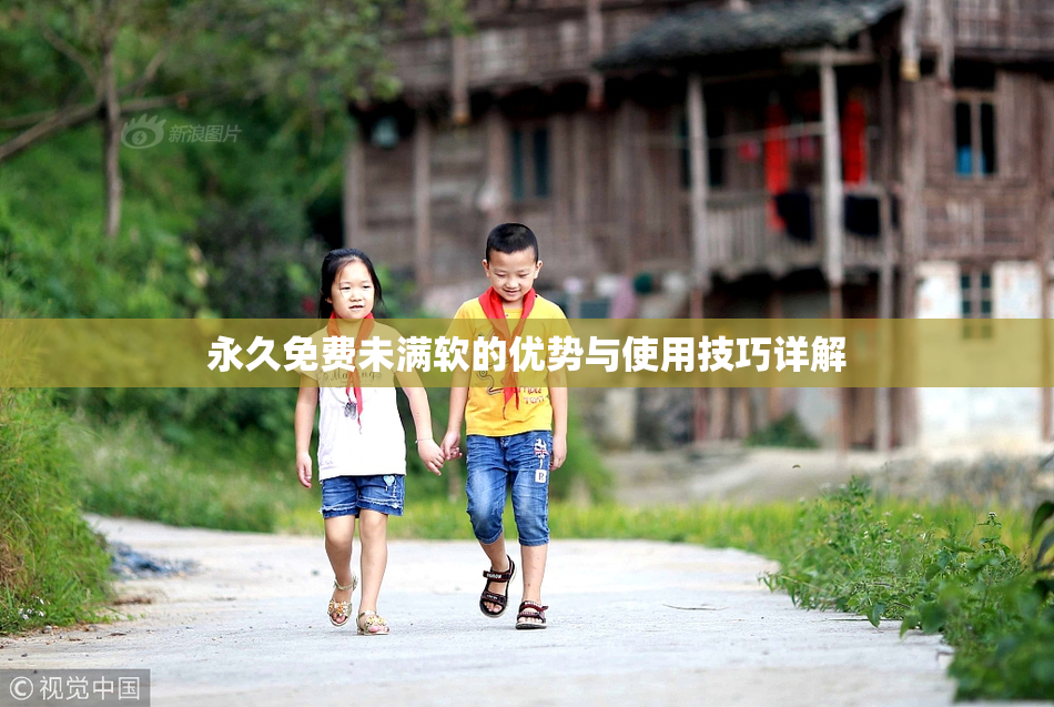 永久免费未满软的优势与使用技巧详解