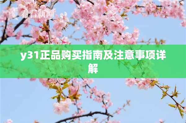 y31正品购买指南及注意事项详解