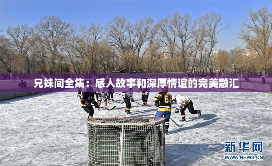 兄妹间全集：感人故事和深厚情谊的完美融汇