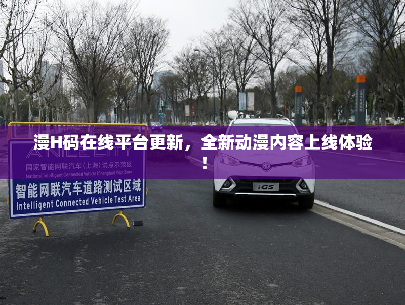 漫H码在线平台更新，全新动漫内容上线体验！