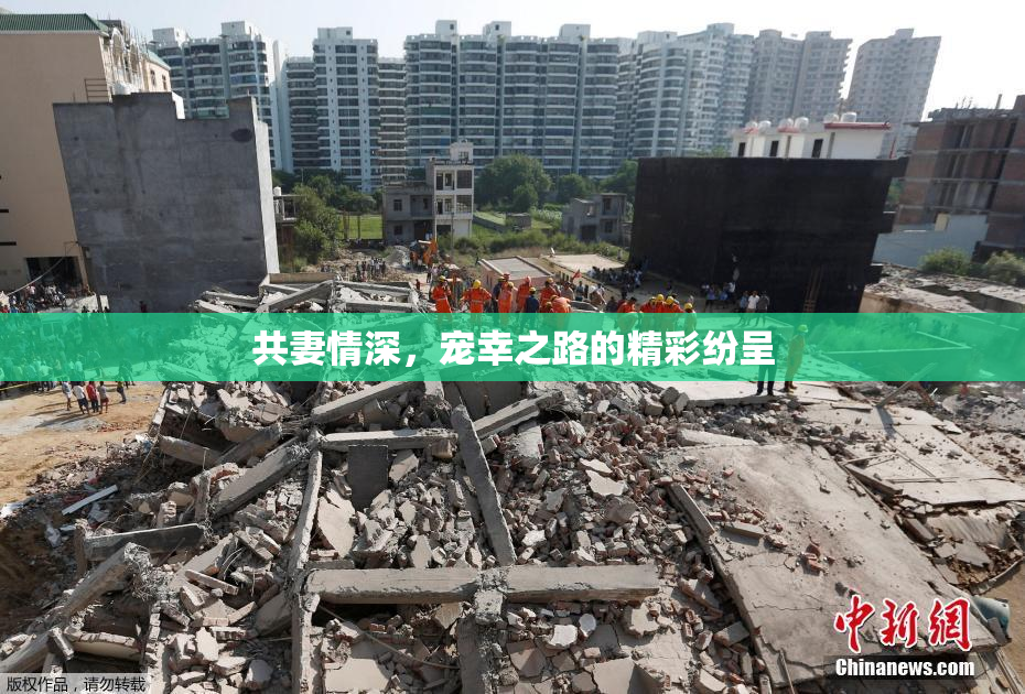 共妻情深，宠幸之路的精彩纷呈