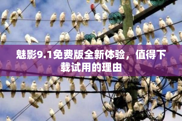 魅影9.1免费版全新体验，值得下载试用的理由
