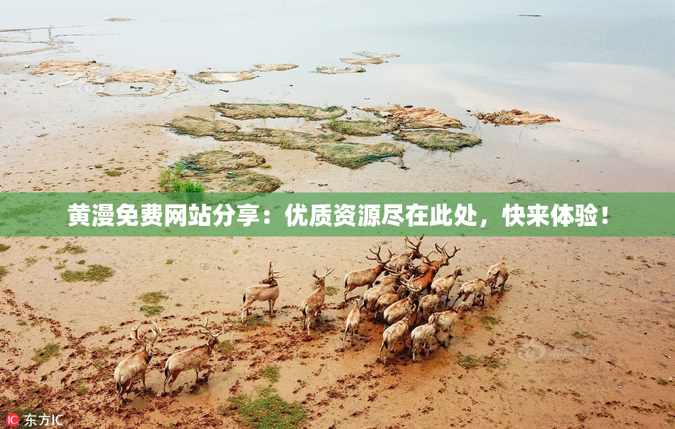 黄漫免费网站分享：优质资源尽在此处，快来体验！