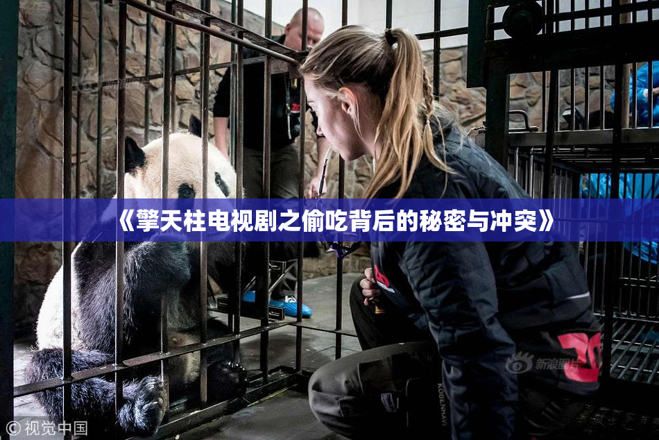 《擎天柱电视剧之偷吃背后的秘密与冲突》