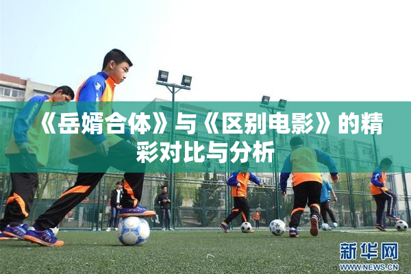 《岳婿合体》与《区别电影》的精彩对比与分析