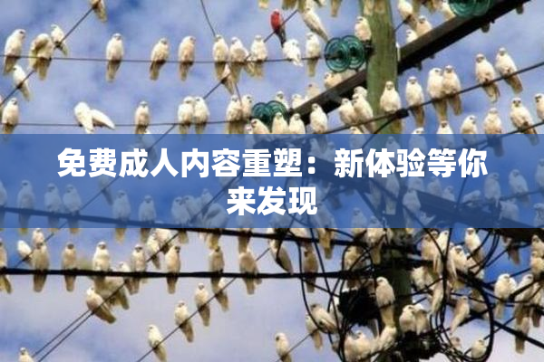 免费成人内容重塑：新体验等你来发现