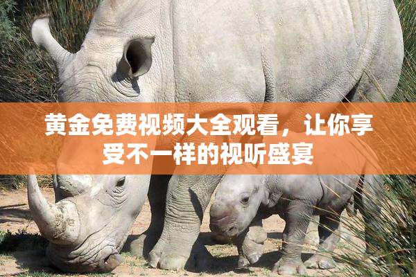 黄金免费视频大全观看，让你享受不一样的视听盛宴