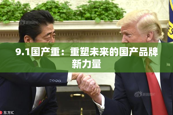 9.1国产重：重塑未来的国产品牌新力量