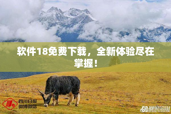 软件18免费下载，全新体验尽在掌握！