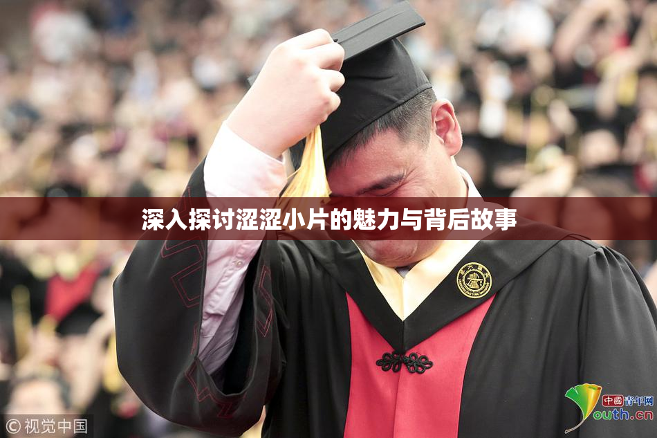 深入探讨涩涩小片的魅力与背后故事