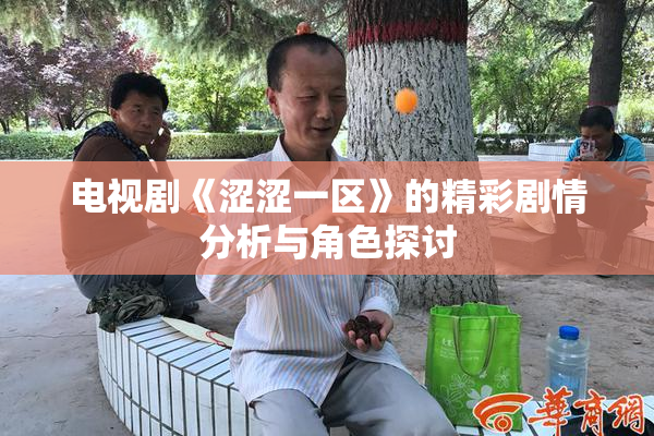电视剧《涩涩一区》的精彩剧情分析与角色探讨