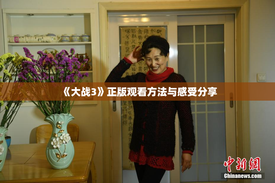 《大战3》正版观看方法与感受分享