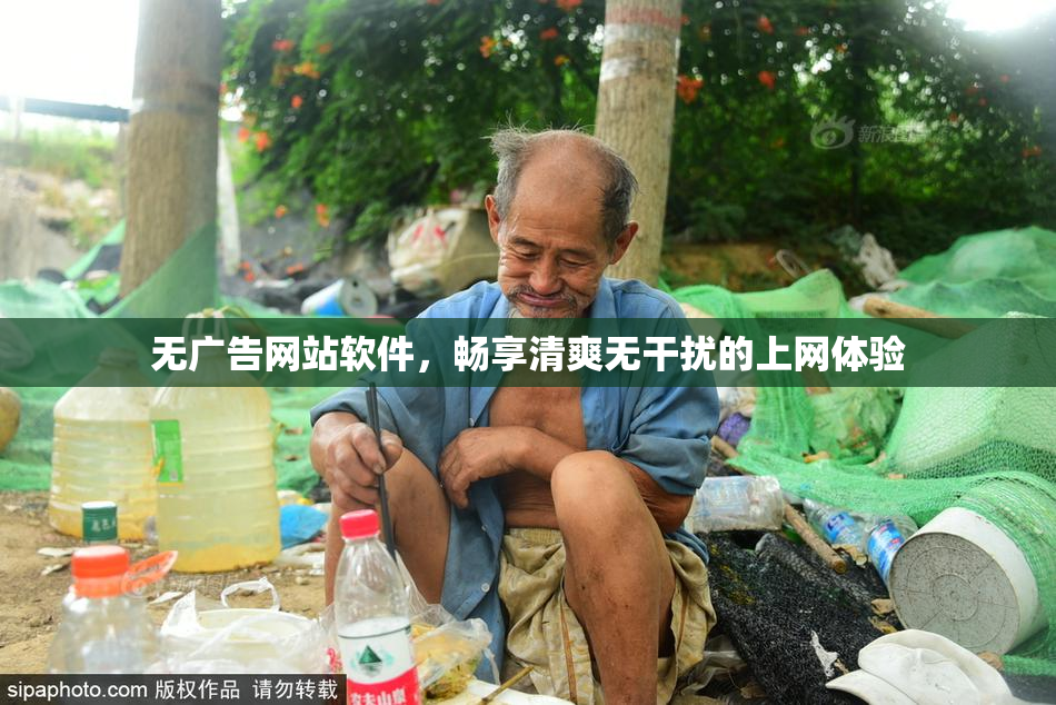 无广告网站软件，畅享清爽无干扰的上网体验