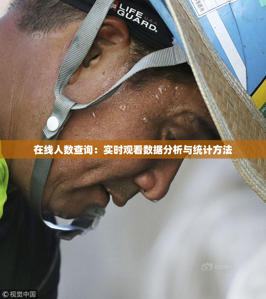 在线人数查询：实时观看数据分析与统计方法