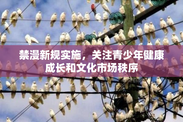 禁漫新规实施，关注青少年健康成长和文化市场秩序