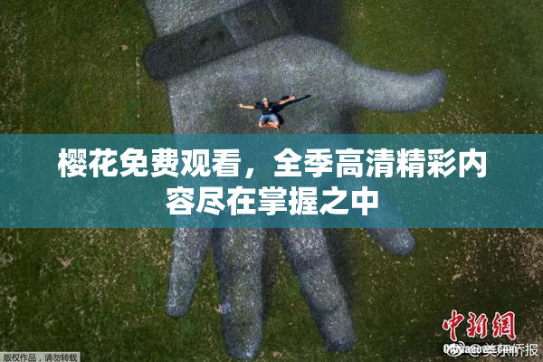 樱花免费观看，全季高清精彩内容尽在掌握之中
