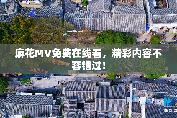 麻花MV免费在线看，精彩内容不容错过！