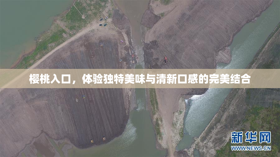 樱桃入口，体验独特美味与清新口感的完美结合