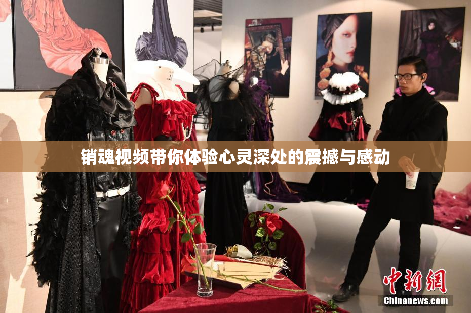 销魂视频带你体验心灵深处的震撼与感动