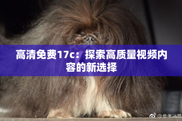 高清免费17c：探索高质量视频内容的新选择