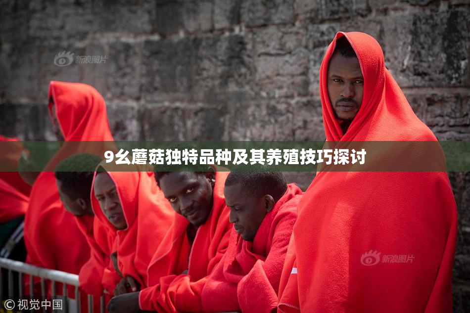 9幺蘑菇独特品种及其养殖技巧探讨