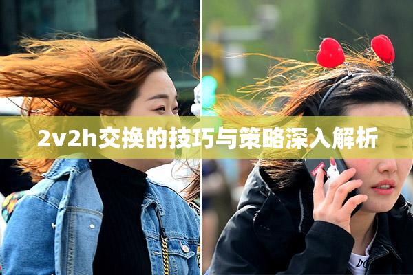 2v2h交换的技巧与策略深入解析