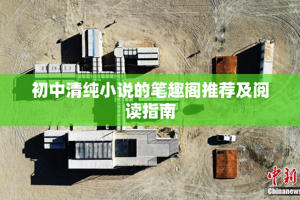 初中清纯小说的笔趣阁推荐及阅读指南