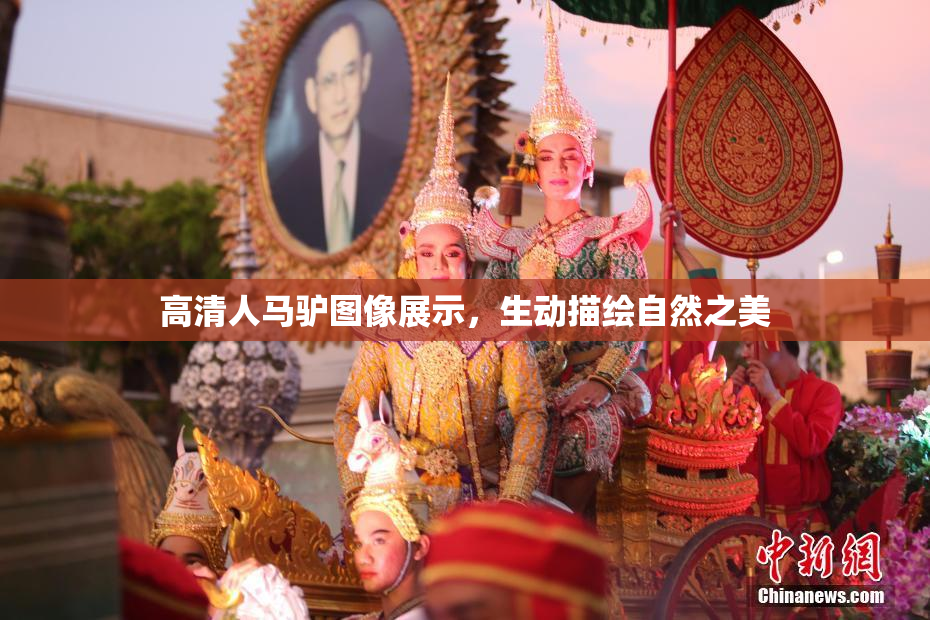 高清人马驴图像展示，生动描绘自然之美