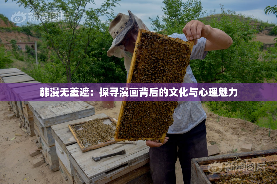 韩漫无羞遮：探寻漫画背后的文化与心理魅力