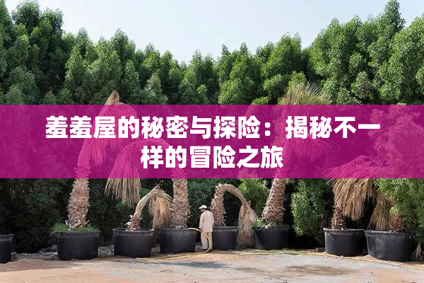 羞羞屋的秘密与探险：揭秘不一样的冒险之旅