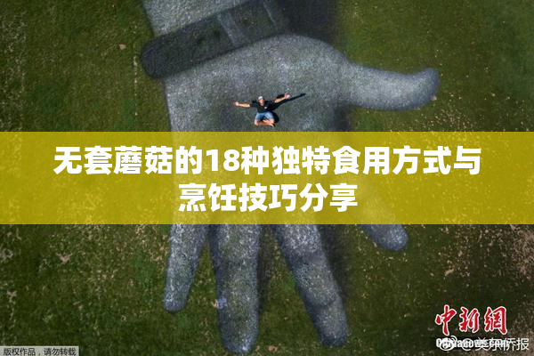 无套蘑菇的18种独特食用方式与烹饪技巧分享