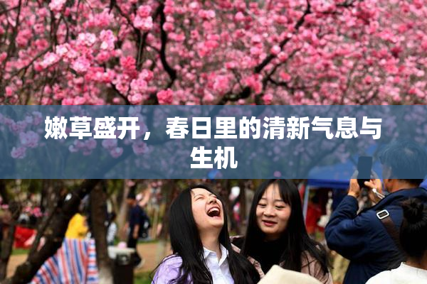 嫩草盛开，春日里的清新气息与生机