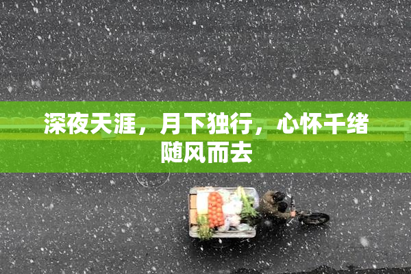 深夜天涯，月下独行，心怀千绪随风而去