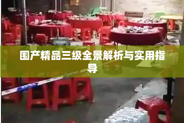 围产精品三级全景解析与实用指导
