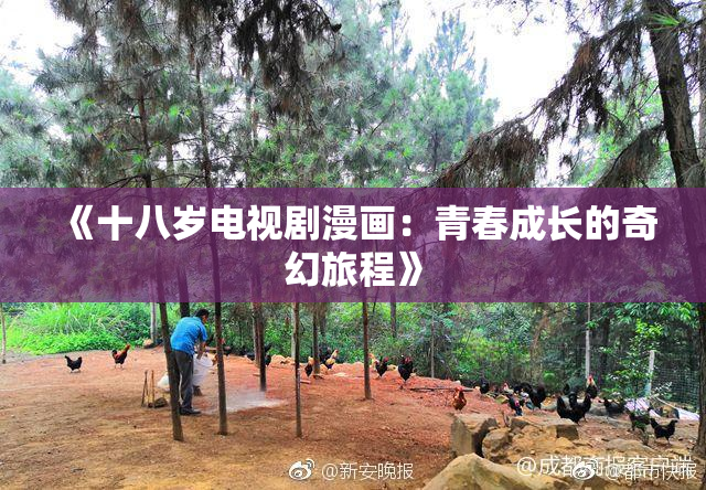《十八岁电视剧漫画：青春成长的奇幻旅程》