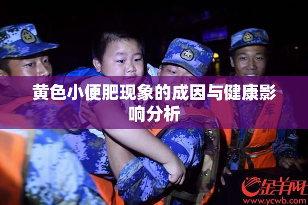 黄色小便肥现象的成因与健康影响分析