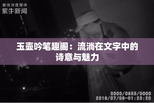 玉壶吟笔趣阁：流淌在文字中的诗意与魅力