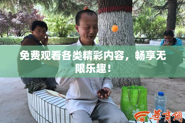 免费观看各类精彩内容，畅享无限乐趣！