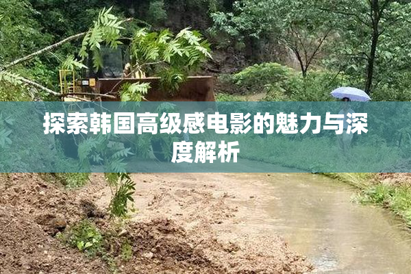 探索韩国高级感电影的魅力与深度解析