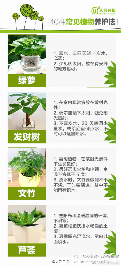 做AJ的视频高清在哪里找到?2025最新资源获取全攻略-e购手机,小巧🐥伸入🍑自慰91,18🈲🍆🍑无套直女仆下载
