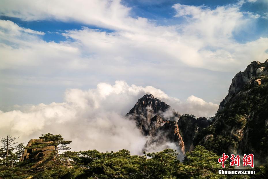 青雪满禁城-电视剧-全集免费在线观看高清完整版-成全影院-e购手机,三年大片在线观看免费播放国语,欧美❌❌❌18免费视频